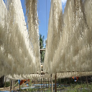 Product Info Image 4